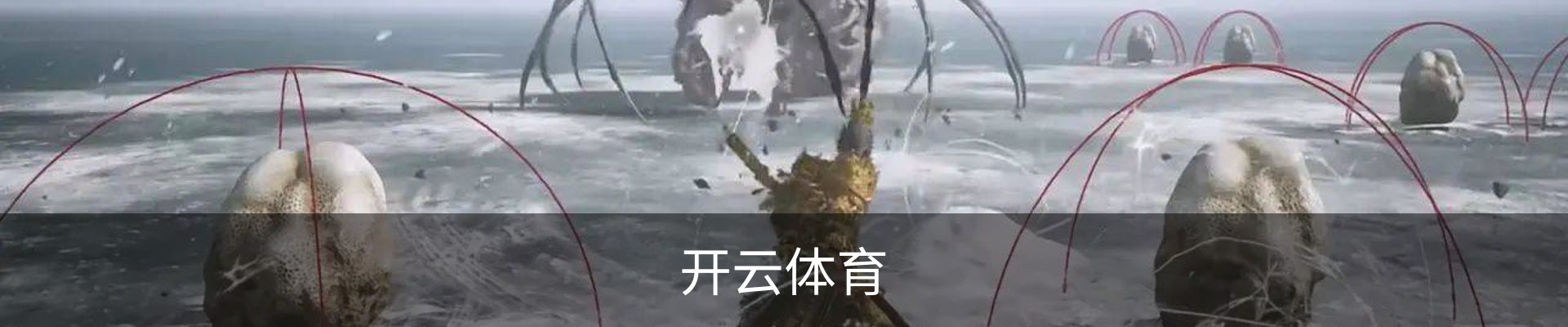 开云体育